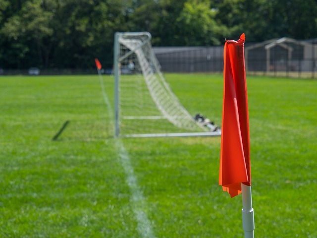 都需要具备 都需要具备