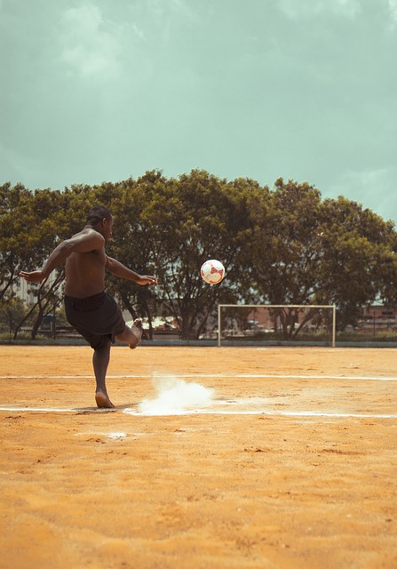 球队结构的 球队结构的