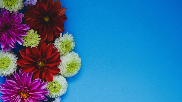 天赋新星 天赋新星