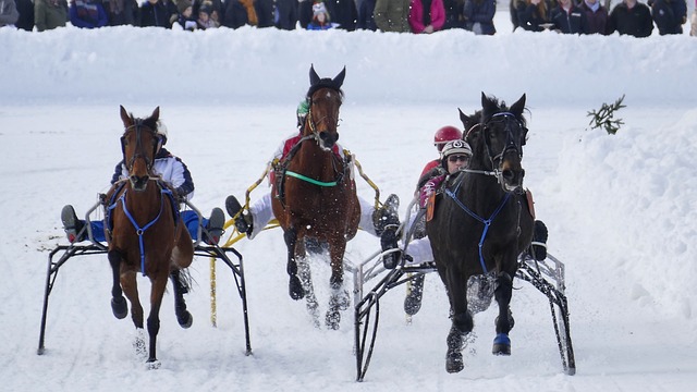 哈登不仅贡 哈登不仅贡