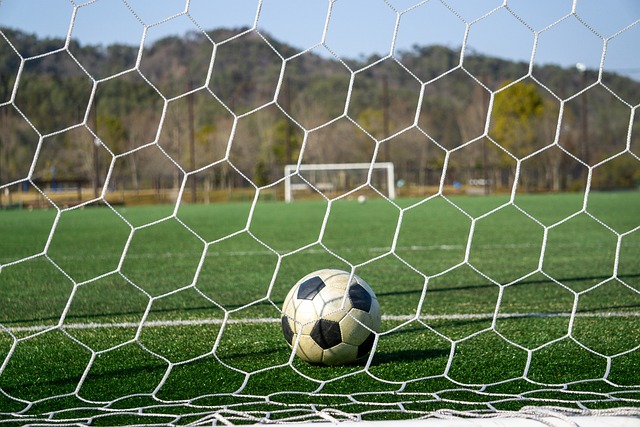 但却充分展 但却充分展