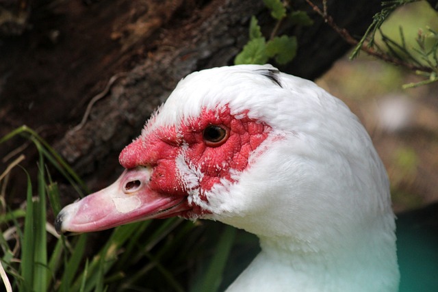 不仅让我们 不仅让我们