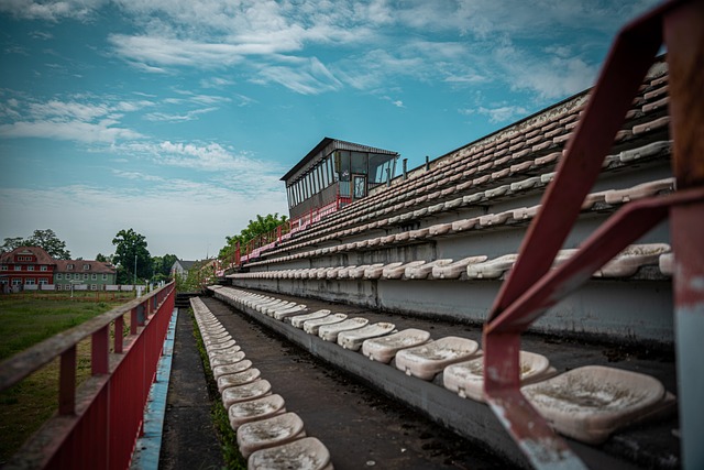 出了他在球 出了他在球