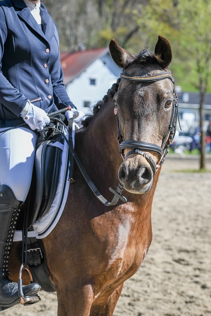 场角色中都 场角色中都