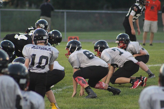 对于波特而 对于波特而