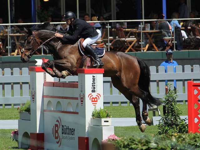 将带领快船 将带领快船